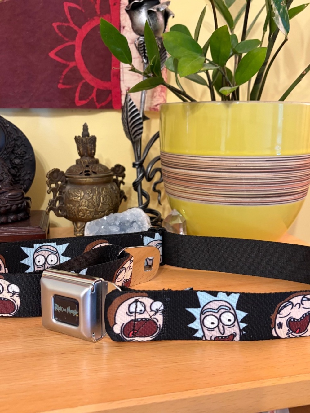 Buckle Down Rick and Morty Seatbelt Belt Size Regular Fits 24-38" Adult Swim